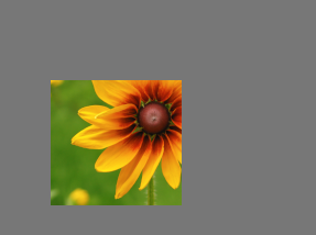 Previewback flower gray.png