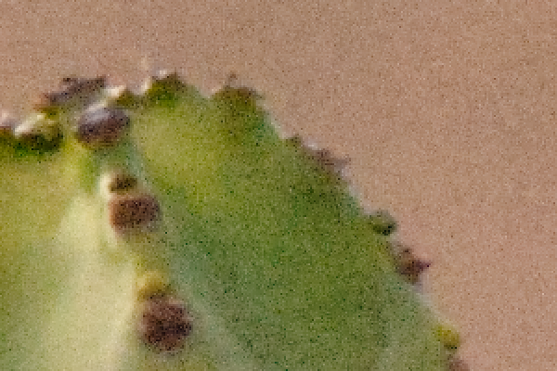 File:Noise-cactus-4-nr-chroma.png