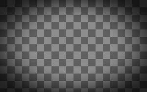 Vignette-filter 4.00 50 50.jpg